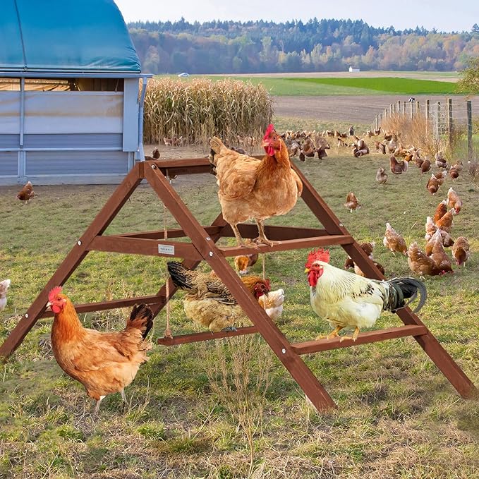 PETSFIT Roosting Bars for Coop Accessories, Chicken Perches with Swing are Perfect for 8-10 Chickens, Wooden Chicken Ladder for Pet's Healthy & Happy, Easy to Assemble&Clean