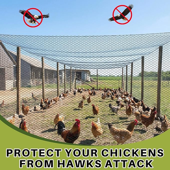 50 x 50 ft Aviary Bird Netting Chicken Netting Commercial Grade Heavy Duty Knotted 2 inch Mesh for Chicken Coops Poultry Blueberries Fruit Trees Net Aviary Gamefowl Garden