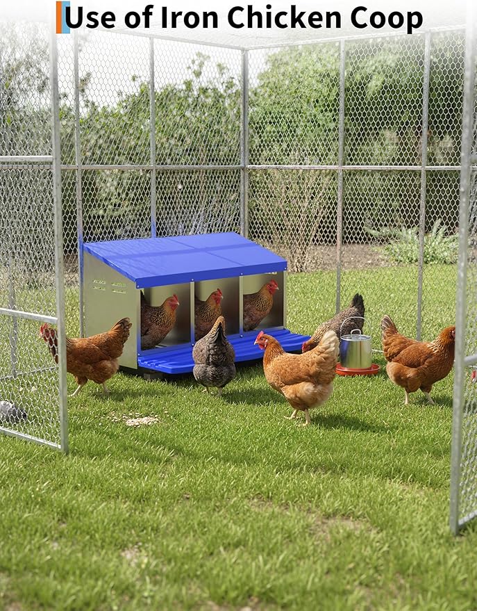 Metal Chicken Nesting Box with Easy-Collect Tray & Lid – 3/4/2x2 Compartment Heavy Duty Roll Away Nesting Boxes for Chickens, Wall Mount or Freestanding, Galvanized Steel Hen Laying Box for Coop