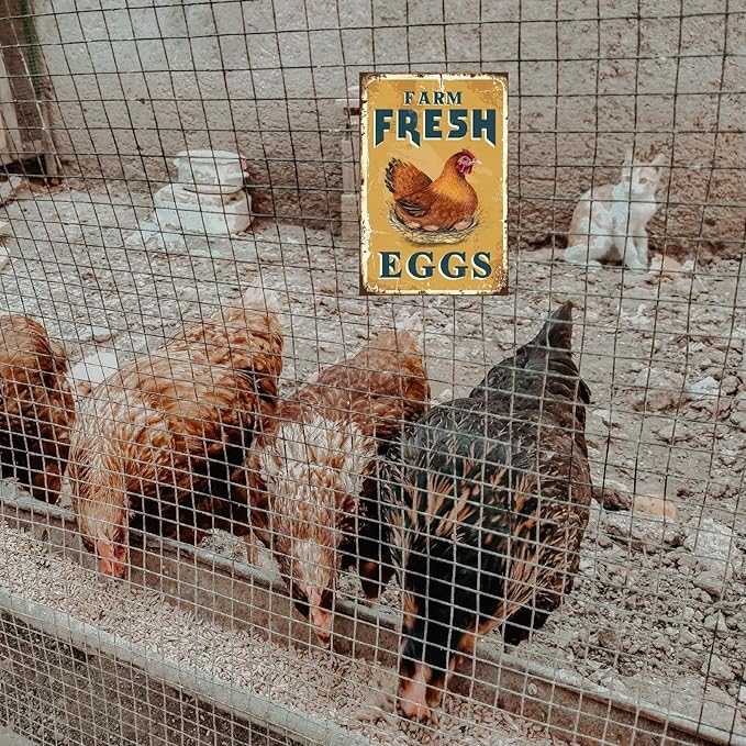 Funny Chicken Sign, Metal Chicken Coop Tin Signs, Farm Fresh Eggs, Yard Sign Garage Farm Garden Wall Decor Sign Plaque Outdoor for Home Fence 8 X 12 Inches
