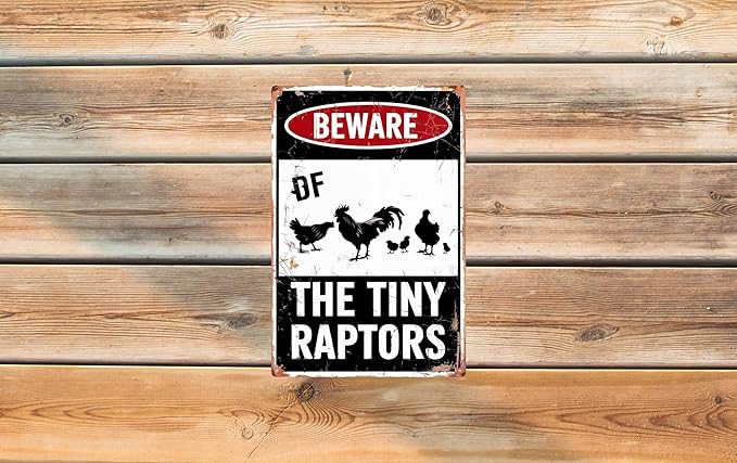 Funny Beware Of Chicken Signs For Coop Funny Outdoor Chicken Coop Signs Beware Of The Tiny Raptors Sign Chicken Coop Accessories 8x12 in