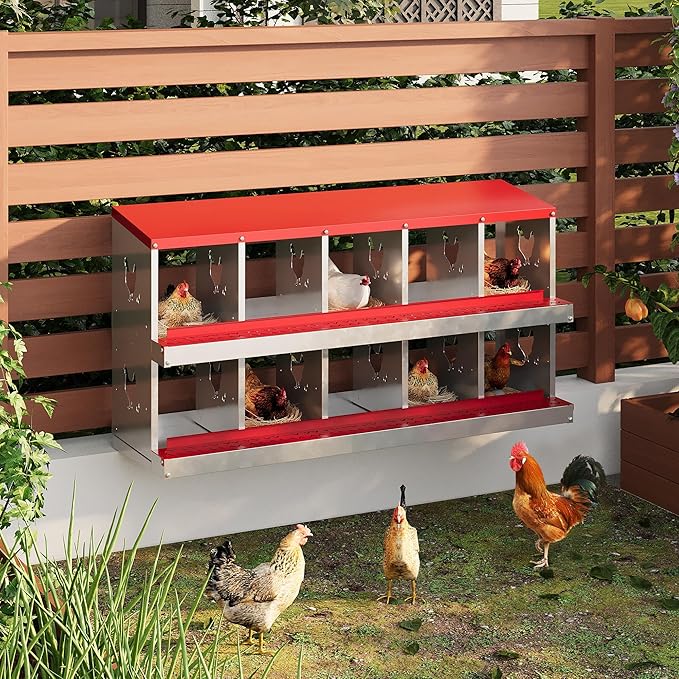 10-Compartment Metal Chicken Nesting Box - with Perch, Secure Lid & Metal Legs, Wall-Mount or Free-Standing Nesting Boxes for Hens