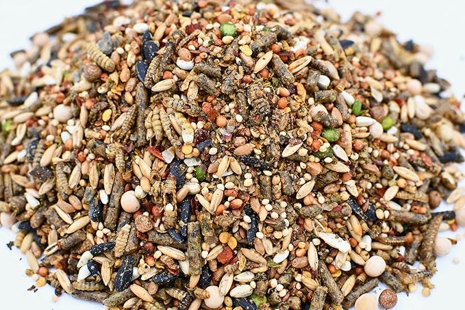 Chicken Fun-DOO Non-GMO, Soy-Free Chicken Treat | Premium Poultry Meal Worm, Vegetable & Herb Mix (25lbs)…