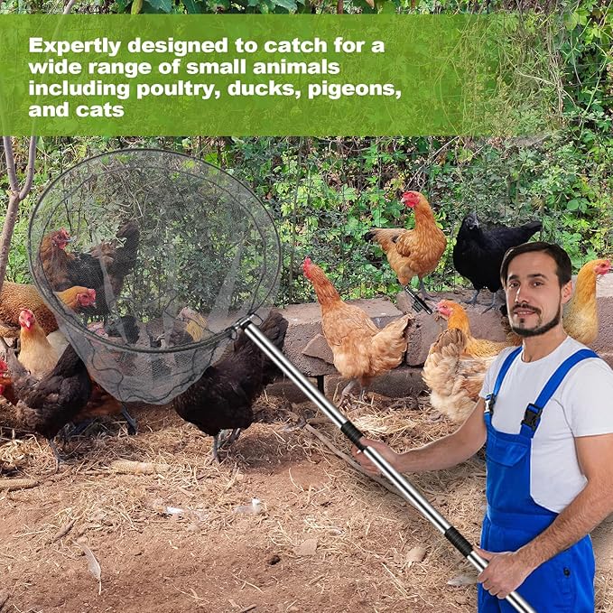 Chicken Catching Net, Chicken Catcher Leg Hook with Extendable Stainless Steel Handle (28.5" to 76"), Poultry Catcher for Catching Small Animals, Duck, Goose, Bird, Skunk Bat and Fish net