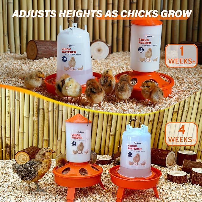 Chick Feeder and Waterer Kit, Top Fill 1.5kg Chick Feeder and 1.5L Chick Waterer with 3 Adjustable Heights