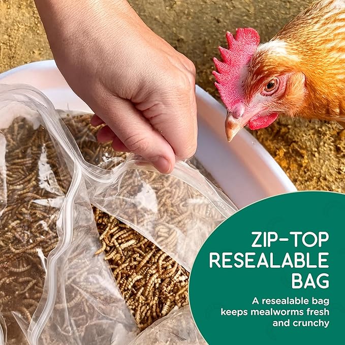 FLYGRUBS 20 lbs Dried Mealworms for Chickens – 85X More Calcium,Non-GMO,High-Protein Feed & Molting Supplement for Hens, Ducks, Turkeys, Wild Birds, Additive & Preservative Free