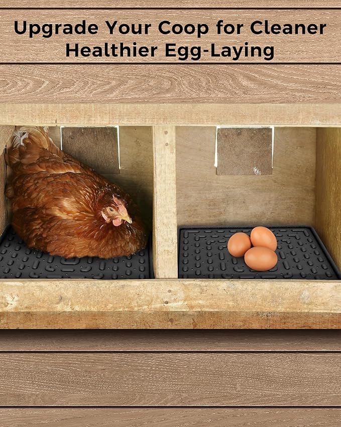 Washable & Reusable Nesting Pads for Chicken Coop - 10Pcs Chicken Nest Mats - Durable 12"x 12" Plastic Nest Box Pads for Egg Laying Hens (Soft, Easy Clean, Premium)