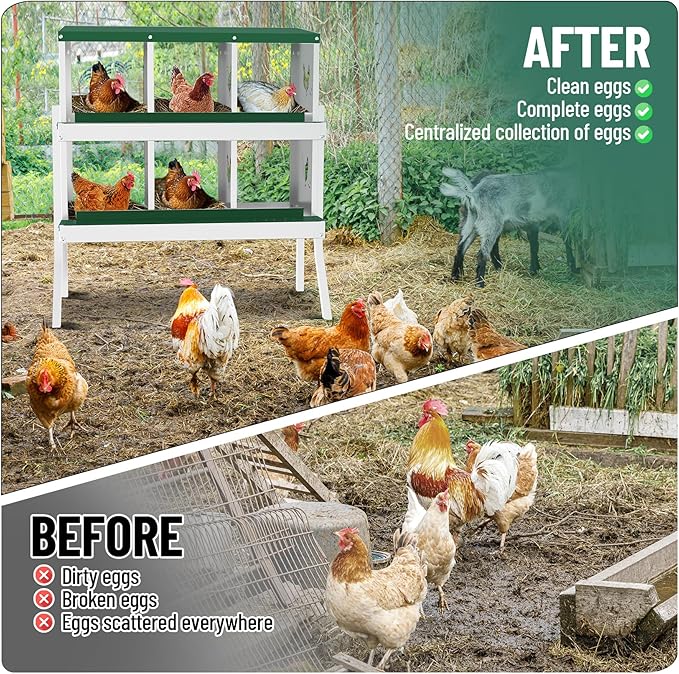 GarveeLife Nesting Boxes for Chickens, 6 Compartment Chicken Nesting Box with Metal Legs, Metal Chicken Laying Boxes with Perch, Secure Lid, Versatile Wall Mount or Free Standing for Hens, Green