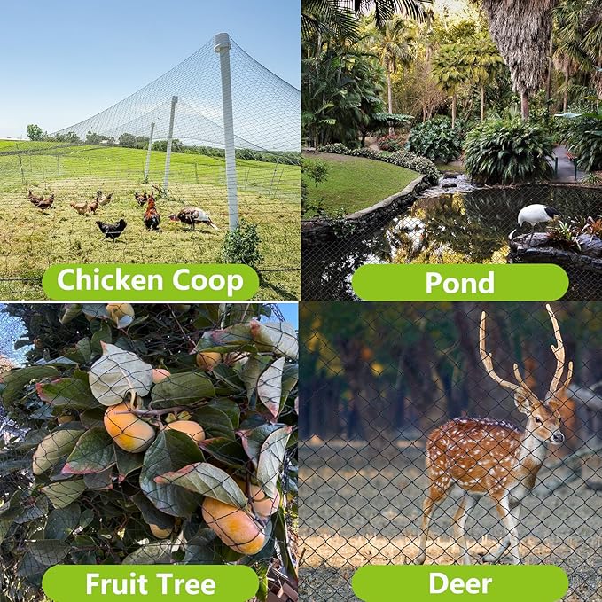 POYEE 50x50ft Bird Netting for Chicken Coop, 1 inch Mesh, Heavy Duty, Hawk Proof, Garden Protection, Fruit Tree Netting Against Squirrels Deer