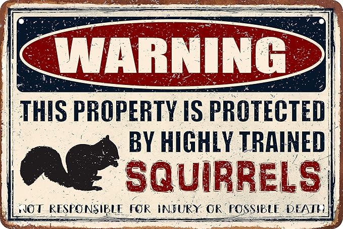 Funny Squirrels Decor Vintage Metal Tin Signs Plaque Wall Decor Bar Pub Man Cave Club Novelty Bathroom Toilet Retro Parlor Posters Cafe Store Garage Rule 8x12 In