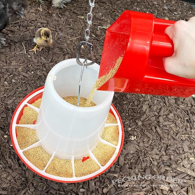 2 Quart Feed Scoop