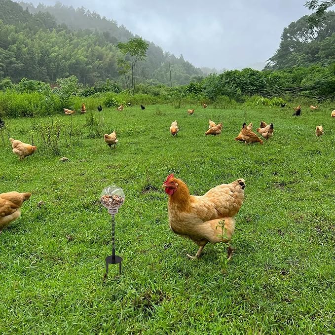 Oooct 4 Pack Chicken Pecking Toys with Swing Feeder, Coop Slow Feeder Toy for Chickens, Chicks, Ducks, Hens, Parrots & Poultry Enrichment