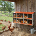 Chicken Nesting Boxes for Laying Eggs with Soft Chicken Nesting Pads &Vented Holes Wall Mountable Laying Boxes with Roll Away Egg Collection Easy to Clean and Install Orange (10 Compartment)