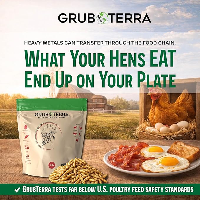 GrubTerra Black Soldier Fly Larvae for Chickens – Dried BSFL Poultry Treat, High Protein Calcium Feed Supplement for Laying Hens, Backyard Chickens, Sourced from Mexico, Not from China - 5LB