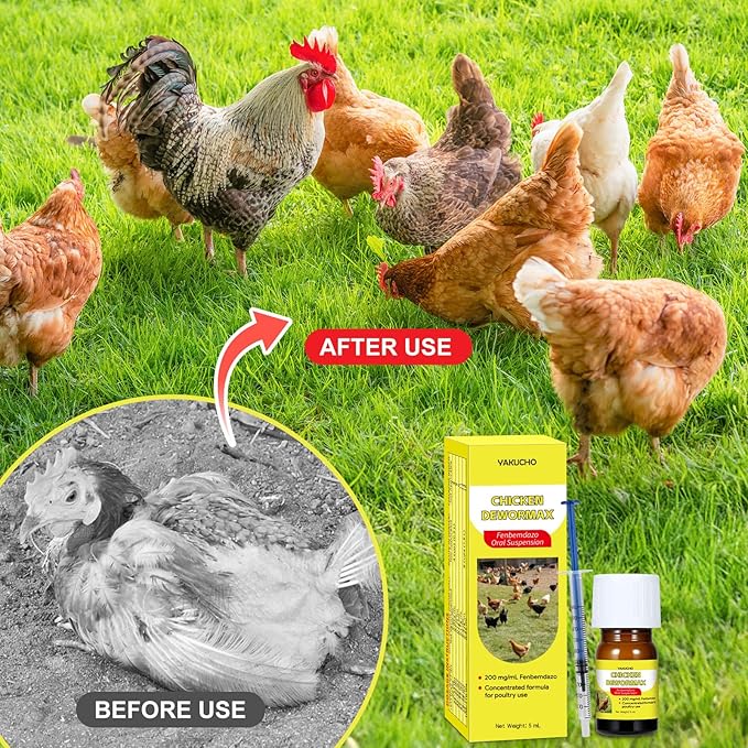 Yakucho Dewomax for Chickens, Digestive Support Liquid - Natural Gut Balance Formula for Chickens, Egg Safe, Easy to Aadminister – 5 mL