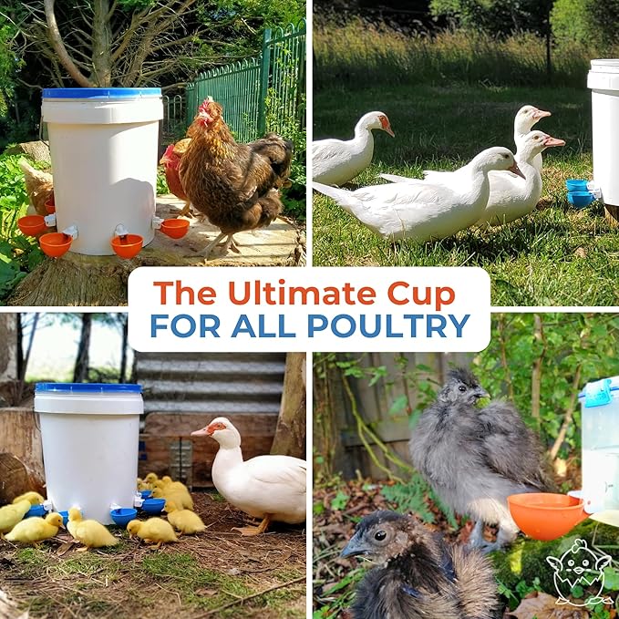 Lil Clucker - Blue Large Automatic Chicken Waterer Cups Suitable for Ducks, Geese, Turkeys, and Bunny Rabbit - Water Feeder Kit - Poultry Waterer - Pack of 12