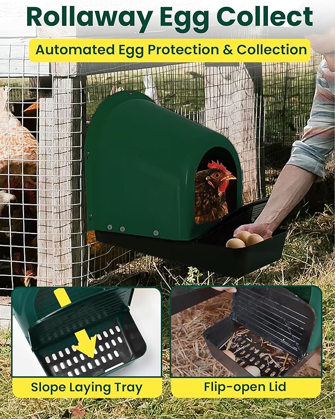 Roll-Out Chicken Nesting Boxes - 5-Pack Plastic Nest Boxes for Chickens, Hens & Ducks - Egg Laying Boxes with Perch and Roll Away Egg Collection for Coop