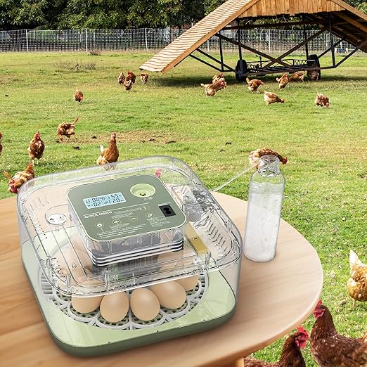 Incubators for Hatching Eggs, 12 Eggs Capacity, Egg Incubator with Automatic Egg Turning and Humidity Control for All Poultry - Chickens, Ducks, Quails, Turkeys, and More (Green)