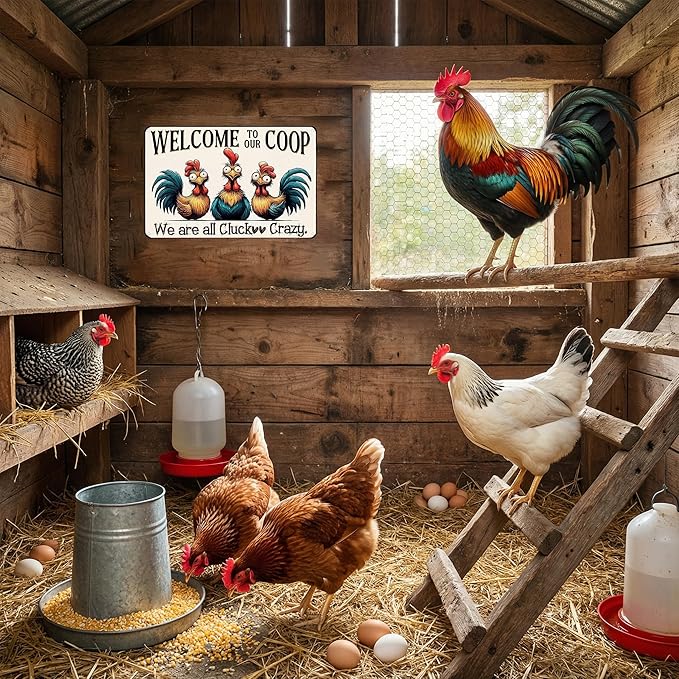 Funnysign Chicken Gifts Vintage Chicken Welcome To Our Coop Tin Sign for Chicken-Coop Farm Kitchen Garden Yard Decor 8x12 inch (3907)