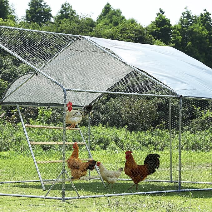 PETSFIT Square Chicken Roosting Perch, Perfect for Backyard Poultry, Chickens Perch for Coop, Easy to Assemble&Clean, Farm Chicken Toys (55" L x 40" W)