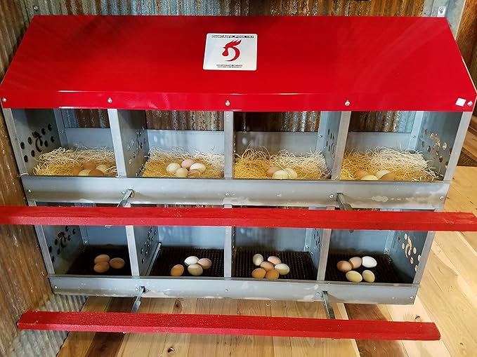 Duncan's Chicken Nesting Boxes - 8 Hole Metal Poultry Nest Box Wall Mount for Chickens, Hens, Ducks - Easy Egg Collection - Large Vented Holes - Fold Up Perches