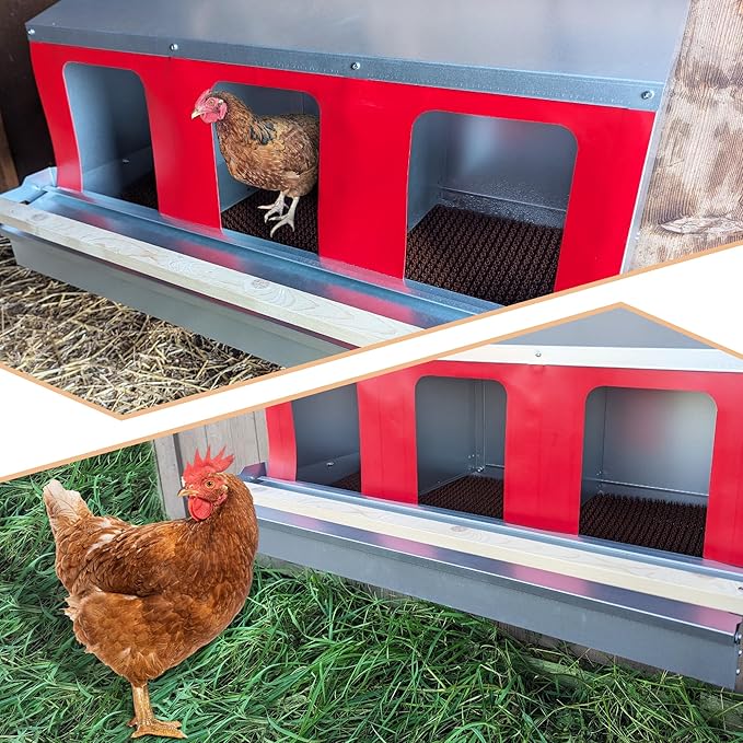 Hen's Choice™ - Roll Out Nest Box for Chickens | Roll Away Nest Box | 3 Compartment 36" | Heavy Duty Galvanized