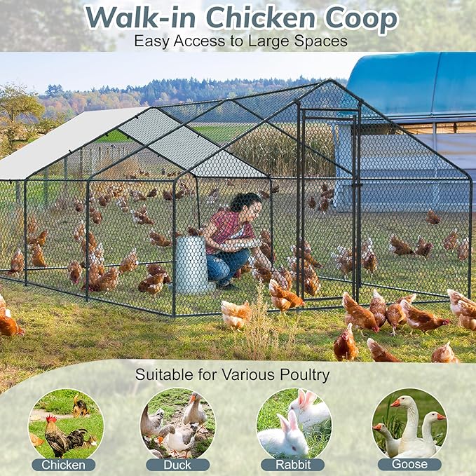 Outvita Chicken Coop, 19.5×10 FT Large Metal Chicken House, Poultry Habitat Cage with Waterproof Cover, Walk-in Chicken Run Pen for Small Animals Yard Farm Patio（Black Electrophoresis Process）
