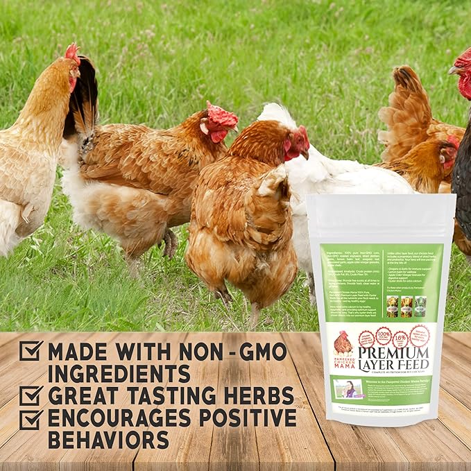 Pampered Chicken Mama Chicken Feed Mash - Premium Layer Feed Pellets - High Protein & High Calcium Chicken Grower Feed Supplies (10 Pounds)