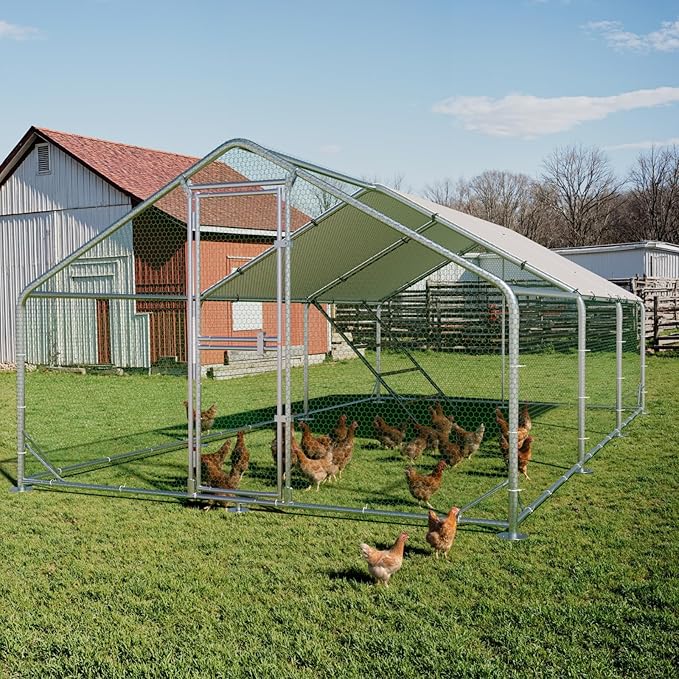 Large Metal Chicken Coop, Chicken Runs for Yard with Cover, Walk-in Chicken Run, Outdoor Chicken Pen, Heavy-Duty Galvanized Frame with Roosting Ladder,10x20x6.5FT