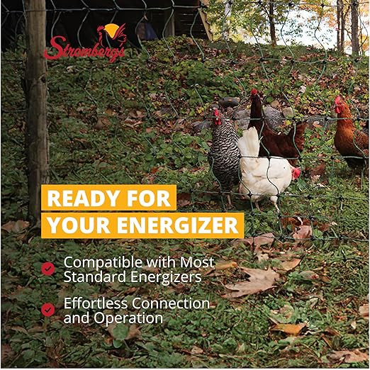 Stromberg's Electric Poultry Netting, Portable, Double-Spiked Posts, Graduated Spacing, Easy Placement, Stable, Predator Protection, 48” Tall x 82 ft Rolls