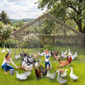 Large Walk-In Metal Chicken Coop with Run – 9.8'L x 19.7'W x 6.6'H Outdoor Chicken Runs with Galvanized Steel Frame, Waterproof & UV-Resistant Cover, Spire Roof for Yard, Farm, Chickens, Ducks & Rabbi