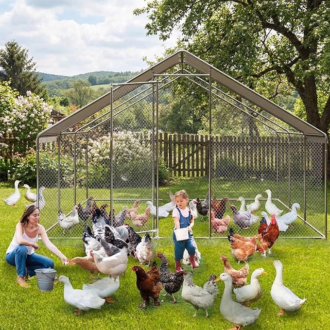 Large Walk-In Metal Chicken Coop with Run – 9.8'L x 19.7'W x 6.6'H Outdoor Chicken Runs with Galvanized Steel Frame, Waterproof & UV-Resistant Cover, Spire Roof for Yard, Farm, Chickens, Ducks & Rabbi