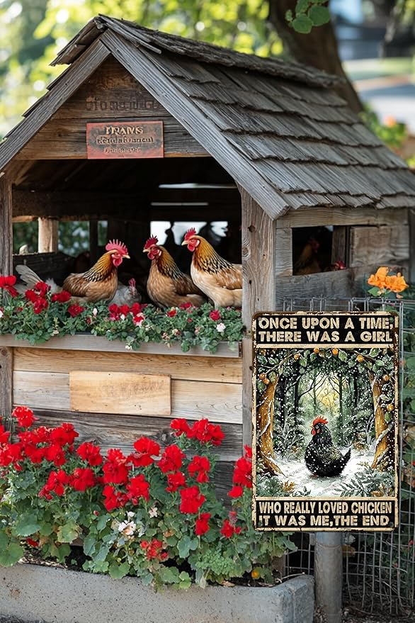 Chicken Sign Tin Metal Wall Art Gift For Chicken Lovers Once Upon A Time There Was A Girl Who Really Loved Chicken Decor 16x12 Inch