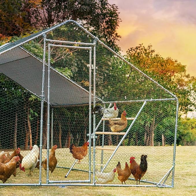 PETSFIT Square Chicken Roosting Perch, Perfect for Backyard Poultry, Chickens Perch for Coop, Easy to Assemble&Clean, Farm Chicken Toys (55" L x 40" W)