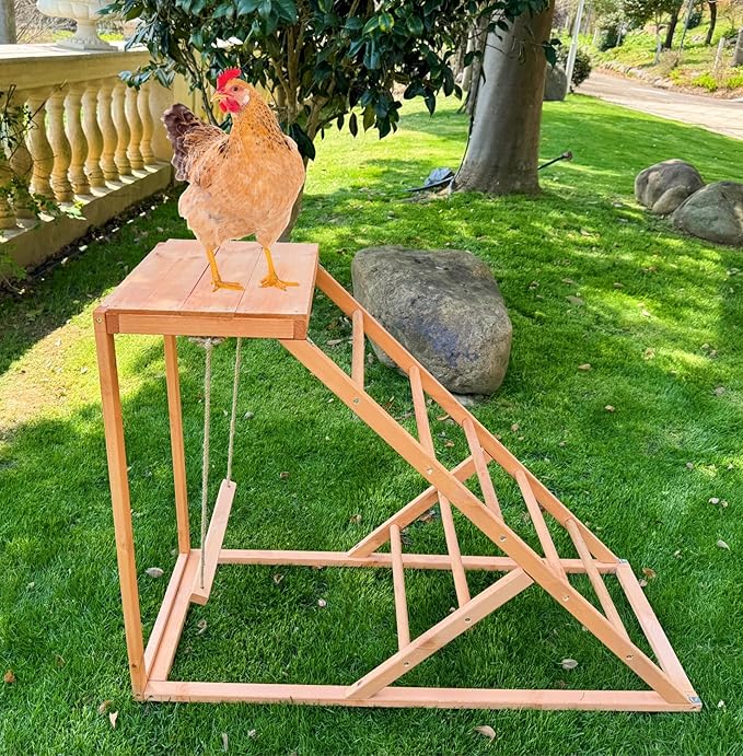 Chicken Roosting Bars with Bird Swing, Ramp, Bars Toys for Pet's Health & Happy, Chicken Perch Easy to Clean, Exercise The Bird's Claws Suitable for Backyard Farms 38.11 X 15.75 X 27.95 (A)