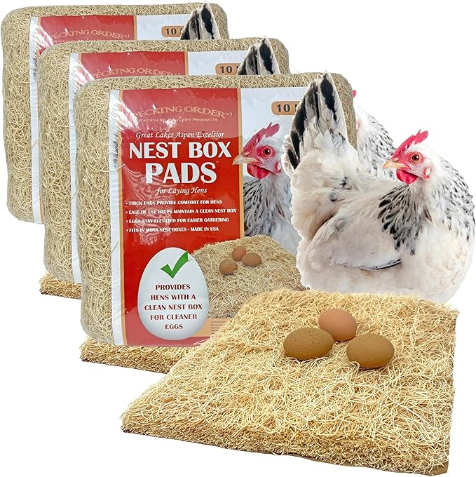 Pecking Order Nest Box Pads for Chicken Nesting Boxes - 13 x 13 Pads Made in USA from Sustainably Sourced Aspen Excelsior,(Pack of 30)
