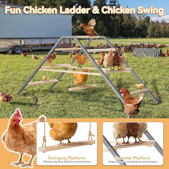PETSFIT Chicken Roosting Bar-Solid Wood and Rustproof Iron Design, Chicken Perch with Swing for Healthy Poultry-Ideal for Backyard Coops, Farms, Easy to Assemble and Clean