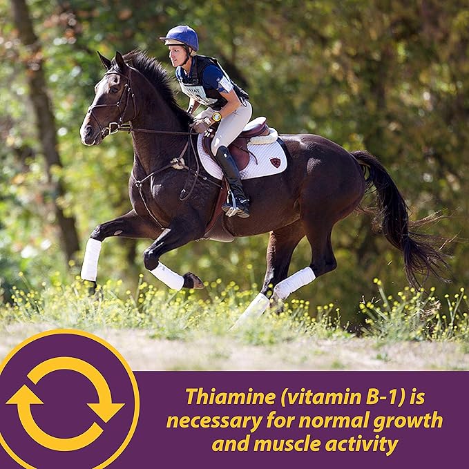 Farnam Horse Health Vita B-1 Crumbles Supplement for Horses, Supports optimal muscle activity and metabolism for performance, 3 pounds, 48 day supply
