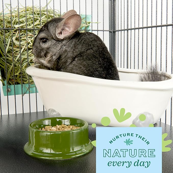 Oxbow Poof! Chinchilla Dust Bath,100% Natural Blue Beauty Dust for Chinchillas,Degus,Gerbils,and Hamsters,Small Animal Grooming,Natural Dusting Powder,2.5 lbs Jar,(Pack of 6)