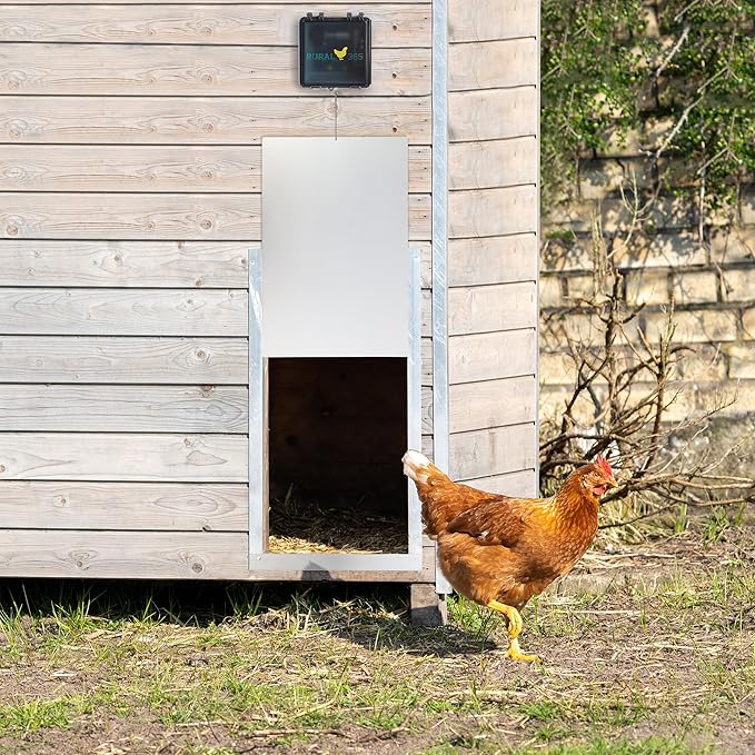 Rural365 Automatic Chicken Coop Door - Electronic Automated Opener Panel for Chickens Sliding Door with Adjustable Timer