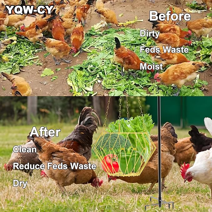 Hanging Chicken Feeder, Foldable Chicken Vegetable Feeder, Golden Poultry Fruits Feeding Holder Basket with Hanging Chain, Veggie Treat Ball Toys Cage for Chicken Hen Coop Accessories
