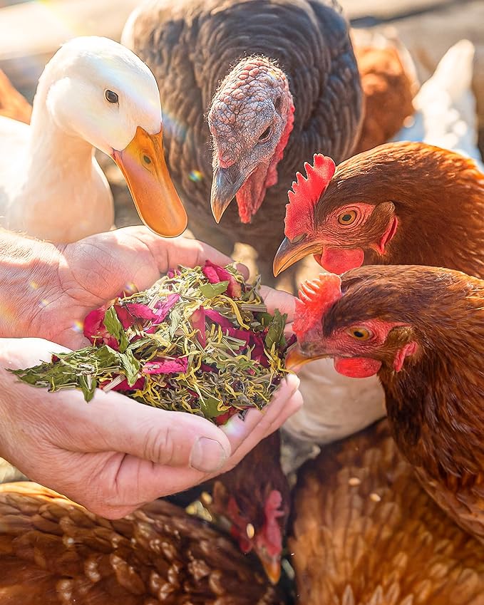 BUCATSTATE Chicken Nesting Herbs 21.1oz, Nesting Herbs for Chicken Coop with 10 Dried Floral Poultry Herbs, Nest Box Aromatic Refresher to Increase Egg Production