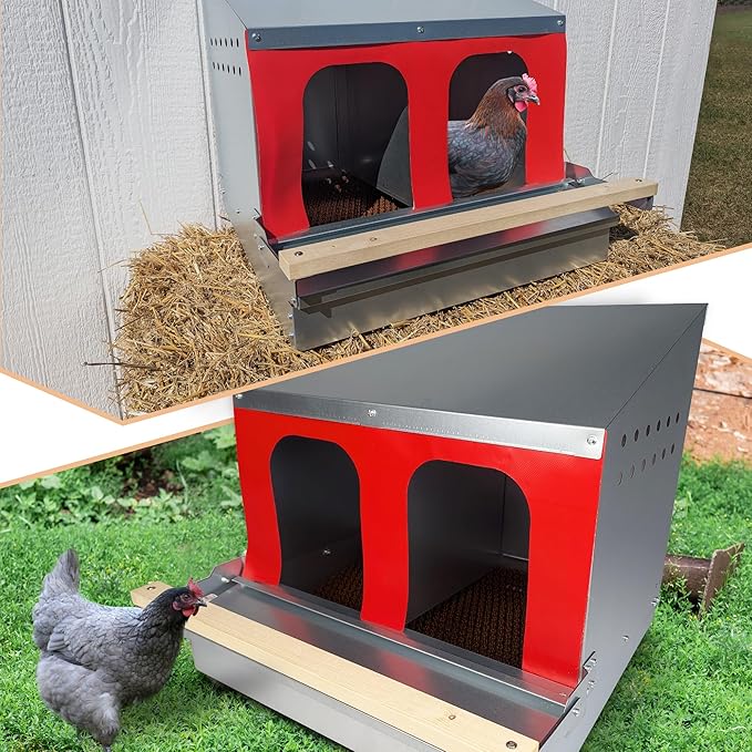 Hen's Choice™ - Reversible Roll Out Nest Box for Chickens | Roll Away Nest Box | 2 Compartment 21" | Heavy Duty Galvanized