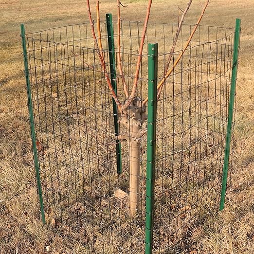 Black PVC Coated Welded Wire Fence 24 Inch x 50 Foot, 2 Inch x 3 Inch 16GA, Garden Border Fencing Roll Vinyl Coating Metal Wire Mesh for Yard Vegetable Plant Protection Poultry Netting