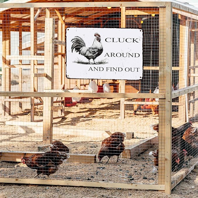 Chicken Coop Accessories Metal Signs 8x12 Inch,Funny Chickens Tin Signs,Chicken Decor Farmhouse Kitchen Decor,Rustic Farm House Decorations for Home/kitchen Wall Art