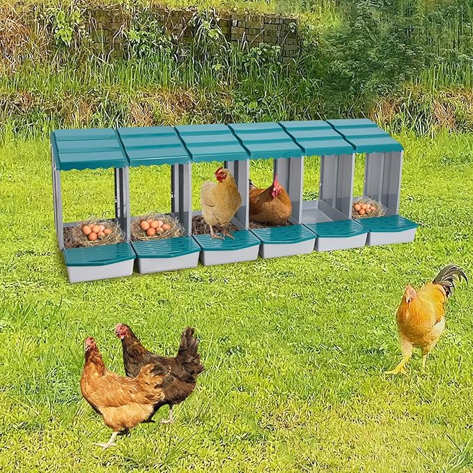 Chicken Nesting Boxes 6 Compartment PP Nesting Box with Inclined Nesting Boxes & Vented Holes Wall Mount Chicken Laying Boxes for Chicken Coop (Green)