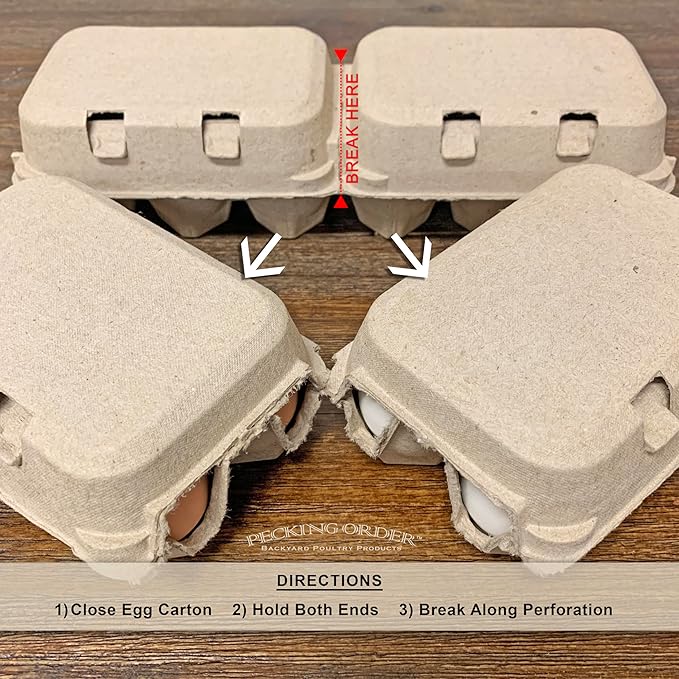 6-Egg Paper Egg Cartons - 24 Pack