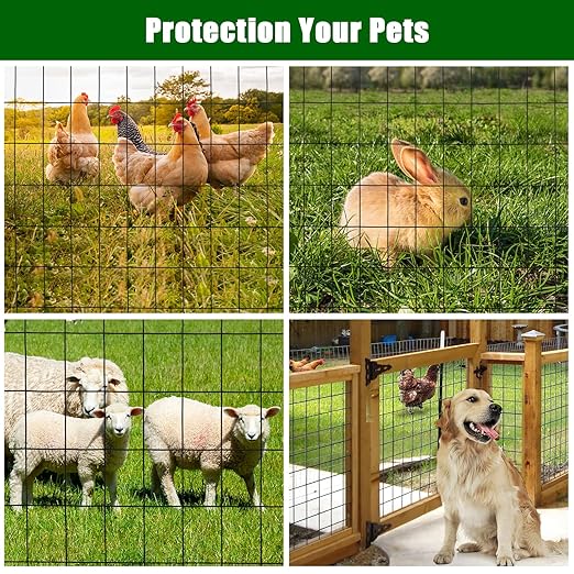 16 Gauge Hardware Cloth 24In x 50Ft – 2In x 3In Galvanized Welded Wire Mesh Roll | Chicken Wire Fence for Poultry, Yard Farm Garden Animal Plant Protection – Black