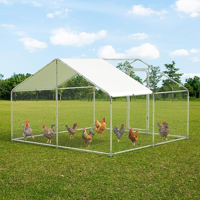 Large Metal Chicken Coop, 10'x10'x6.6' Walk-in Poultry Cage Outdoor Chicken Run Pen w/Waterproof & Anti-UV Cover, Hen House w/Security Lockable Door for Farm Backyard Duck Rabbit Cage Spire Roof