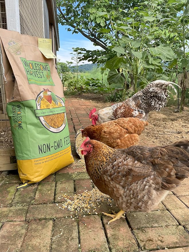 Non-GMO Soy Free-Corn Free Whole Grain Layer Mash (10 lb)